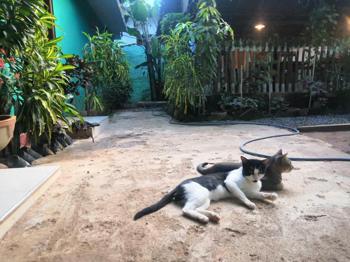 Alass Ga For Pets Lovers Trincomalee Exterior foto